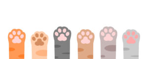 Animal Paws